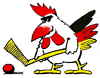 Logo der Wild Boys Rosenheim